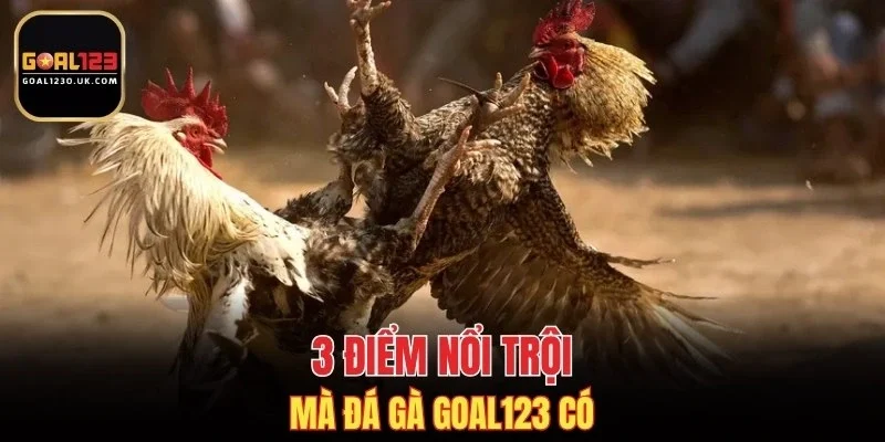 3 điểm nổi trội mà đá gà GOAL123 có