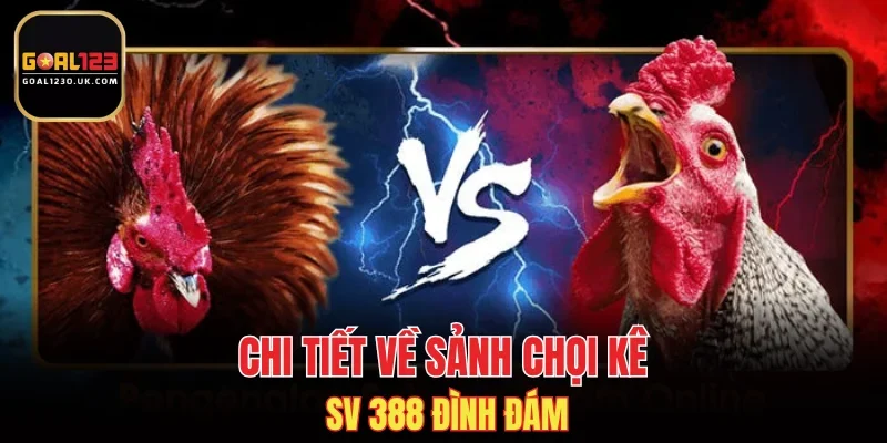 Chi tiết về sảnh chọi kê SV 388 đình đám