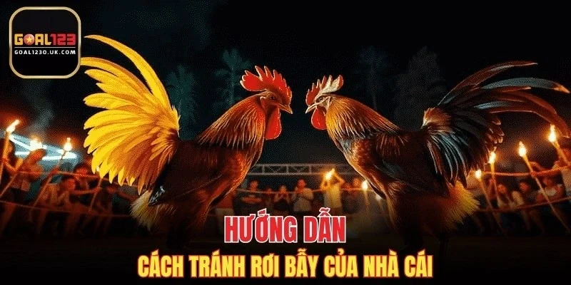 Hướng dẫn cách tránh rơi bẫy của nhà cái